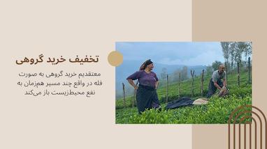 خرید گروهی در تیاور 