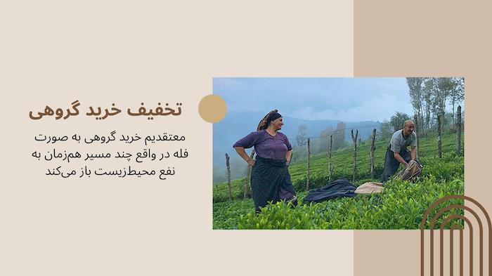 خرید گروهی در تیاور 