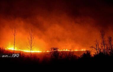 آتش سوزی در جنگلهای هیرکانی منطقه سیاهکل 