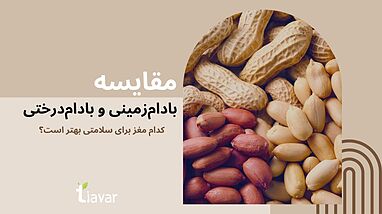 مقایسه بادام‌زمینی و بادام‌درختی؛ کدام مغز برای سلامتی بهتر است؟
