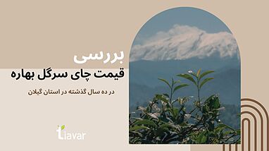 بررسی قیمت چای سرگل بهاره در ده سال گذشته در استان گیلان