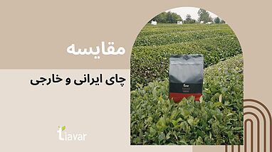 مقایسه چای طبیعی ایرانی با چای خارجی حاوی رنگ و عصاره مصنوعی: کدامیک برای سلامتی بهتر است؟